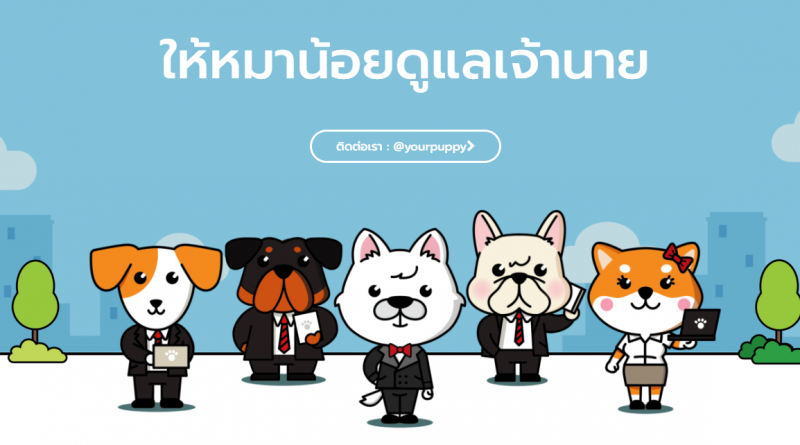 ซื้อ follower ig คนไทย