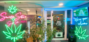 cannabis
