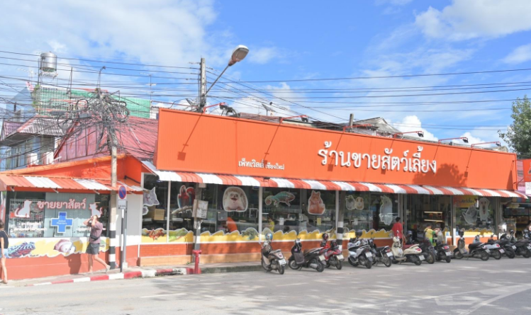 ร้าน ขาย หนู แฮม เตอร์ ใกล้ ฉัน